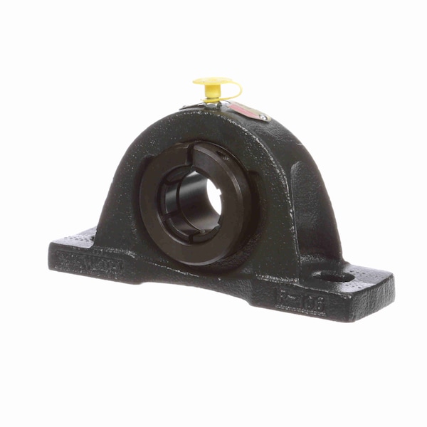 Mounted Cast Iron Two Bolt Pillow Block Ball Bearing, NP-19T